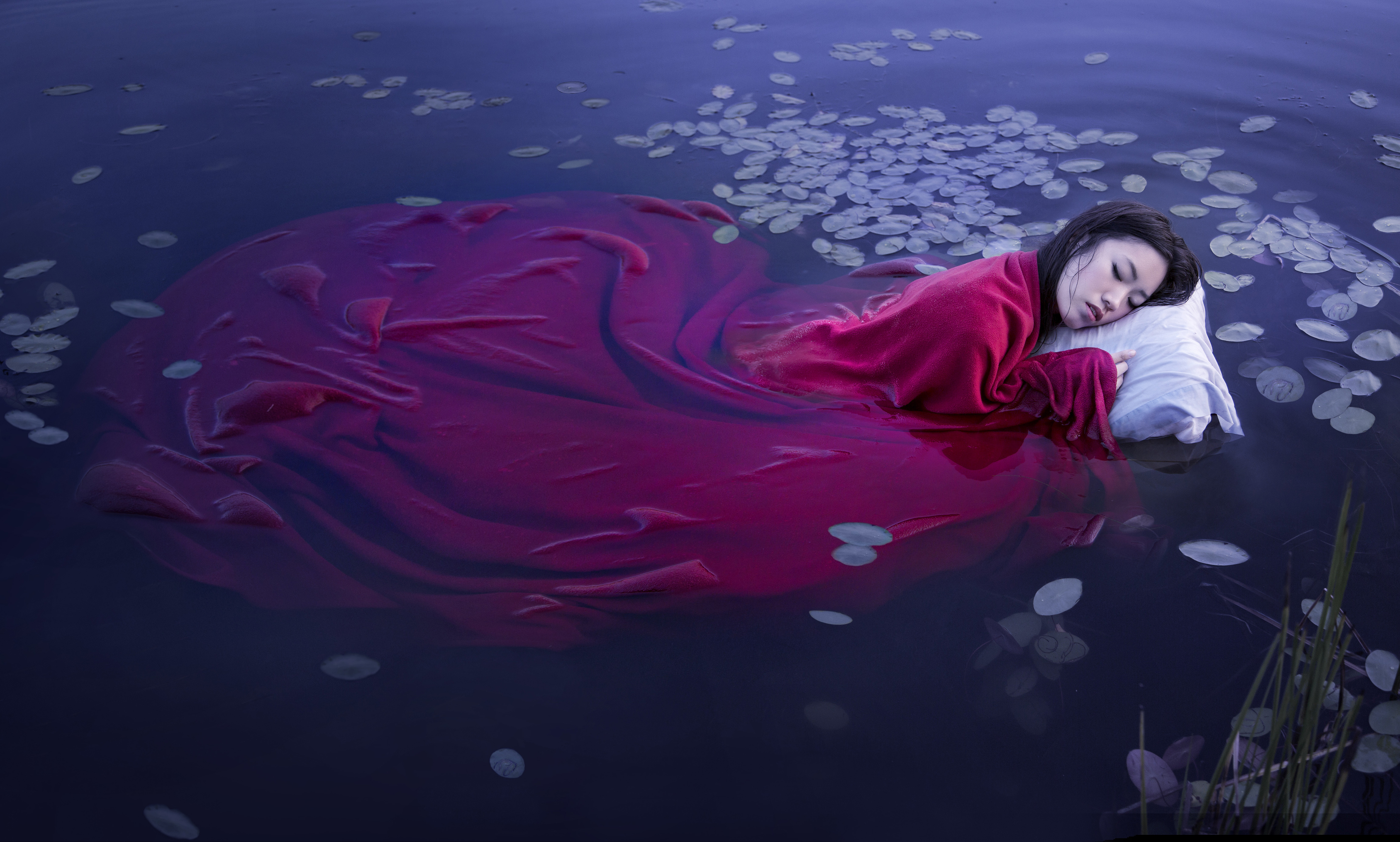 Good Night Shayari